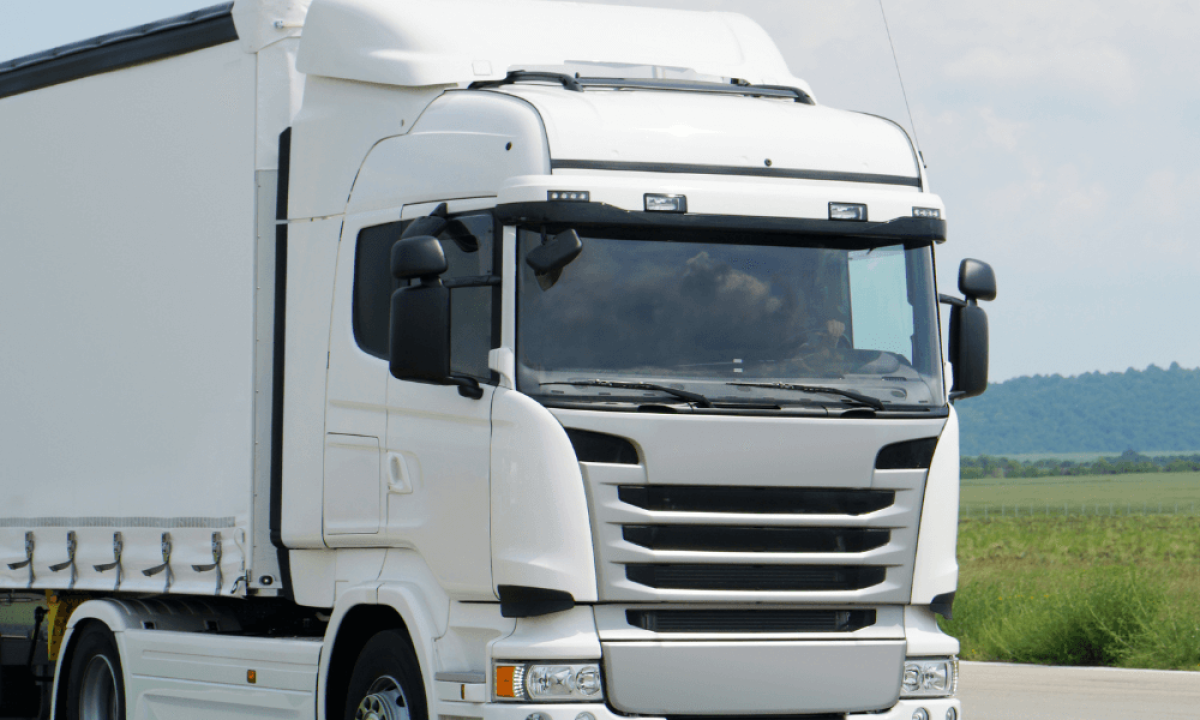 Carta de Pesados: Categorias, Idade para Tirar e Preço